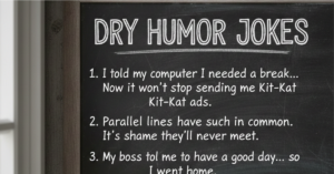 Dry Humor Jokes: 100 Funny, Deadpan, and Witty One-Liners