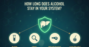 How Long Does Alcohol Stay in Your System?