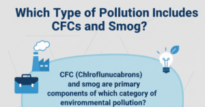 Which Type of Pollution Includes CFCs and Smog?