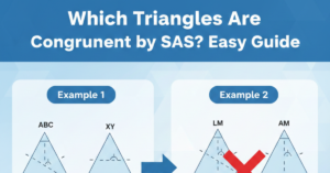 Which Triangles Are Congruent by SAS? Easy Guide