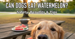 Can Dogs Eat Watermelon? Safety, Benefits & Tips